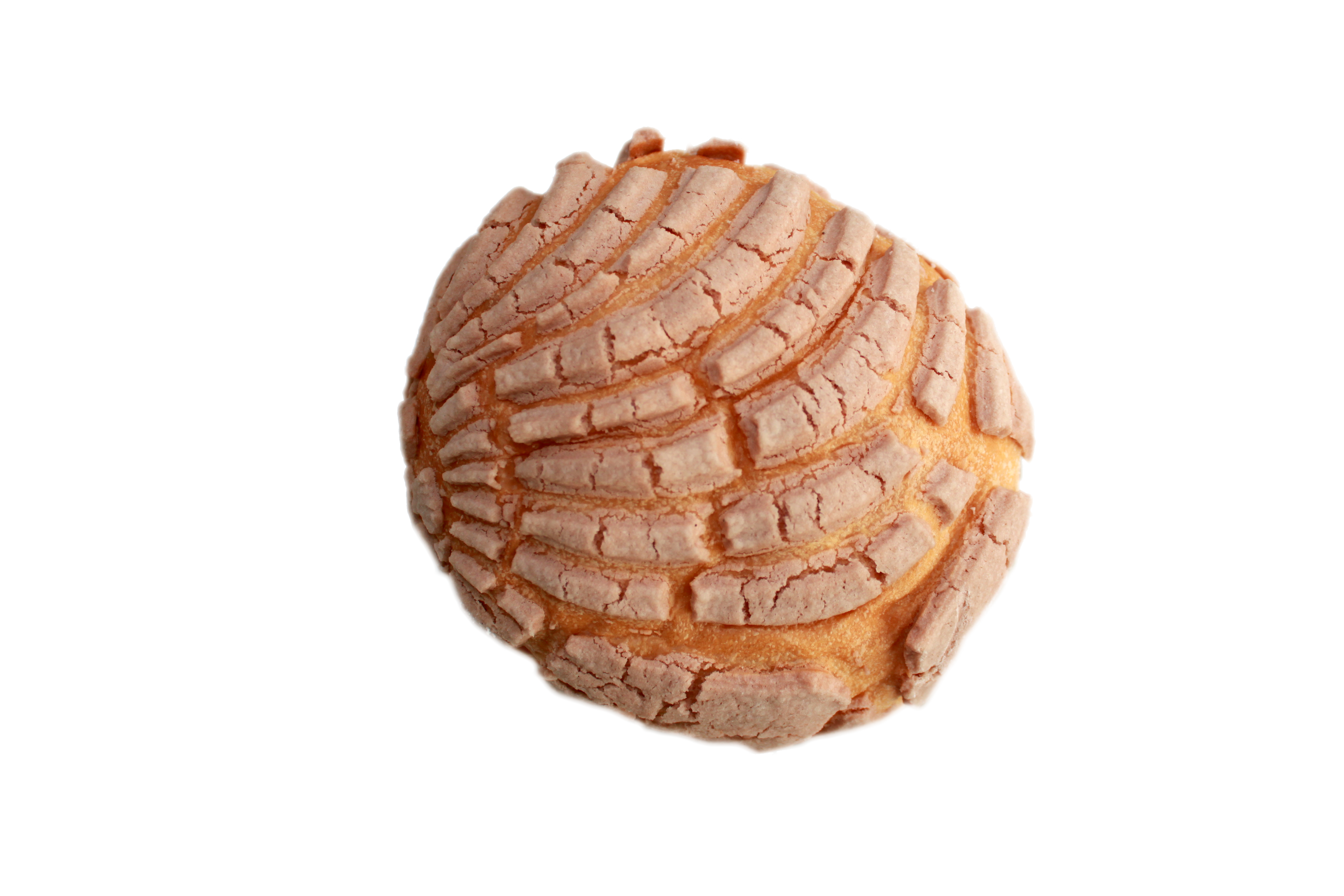 CONCHA DE CHOCOLATE