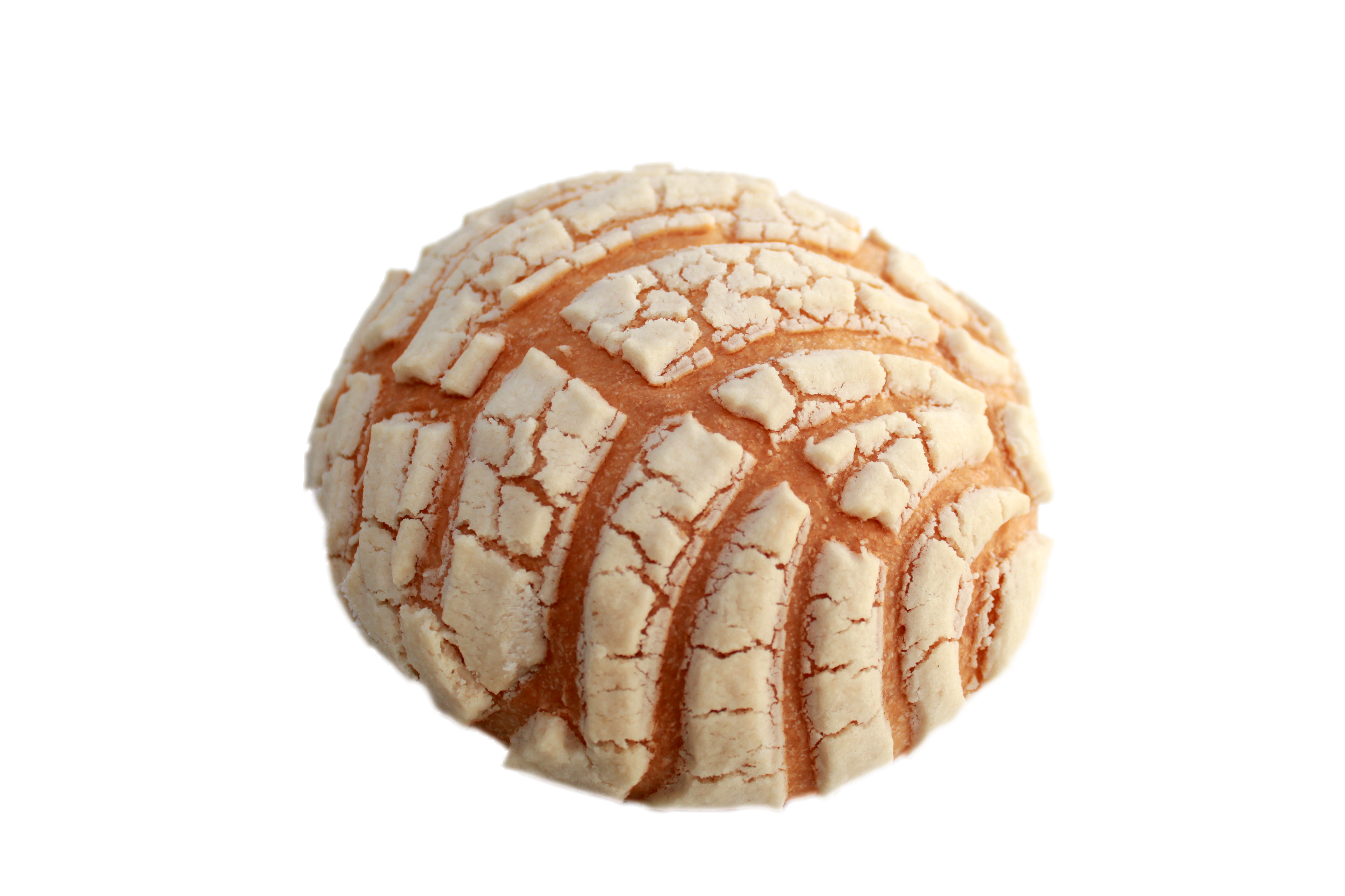 CONCHA DE VAINILLA